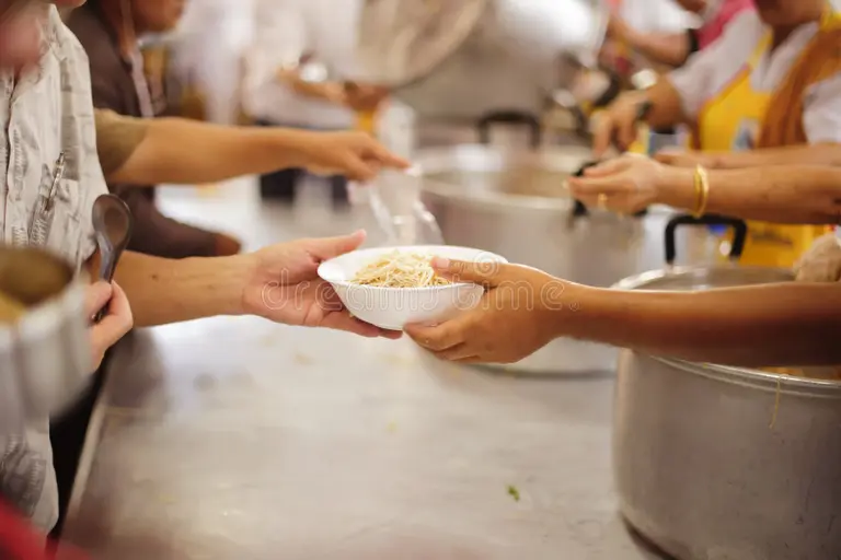 Food, shelter & care